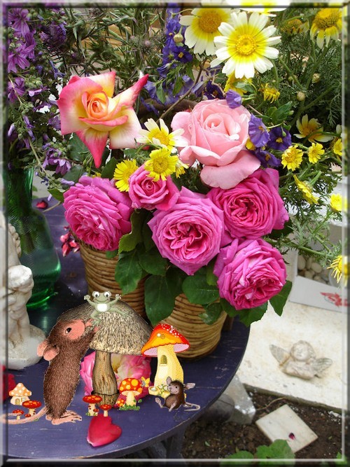 Image h�berg�e par Casimages.com : votre h�bergeur d images simple et gratuit