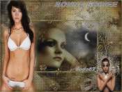 Cliquez pour afficher l'image en taille r�elle