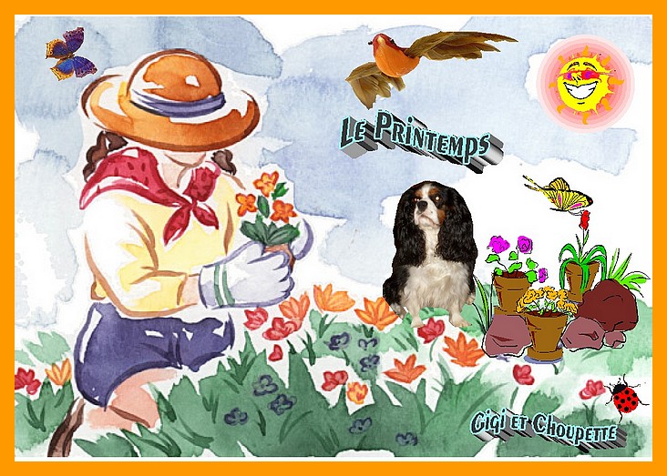 Image h�berg�e par Casimages.com : votre h�bergeur d images simple et gratuit