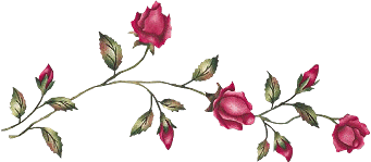 Image h�berg�e par Casimages.com : votre h�bergeur d images simple et gratuit
