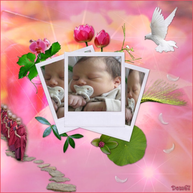 http://nsm03.casimages.com/img/2010/03/21//100321084216753545676966.jpg
