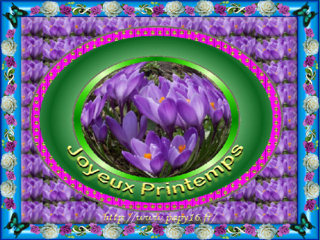 Image h�berg�e par Casimages.com : votre h�bergeur d images simple et gratuit