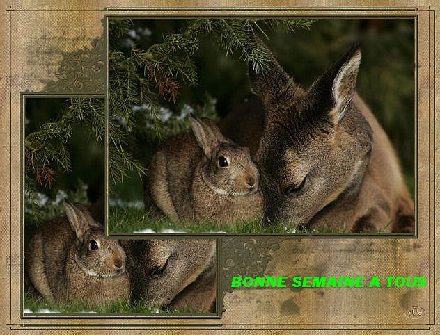 Image h�berg�e par Casimages.com : votre h�bergeur d images simple et gratuit