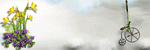 Image hébergée par Casimages.com : votre hébergeur d images simple et gratuit