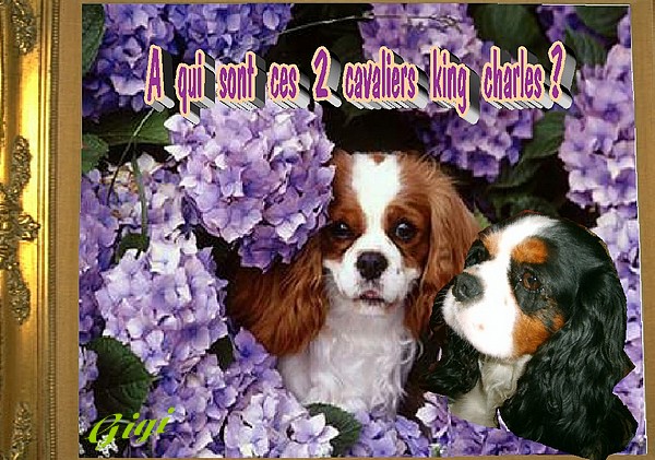 Image h�berg�e par Casimages.com : votre h�bergeur d images simple et gratuit