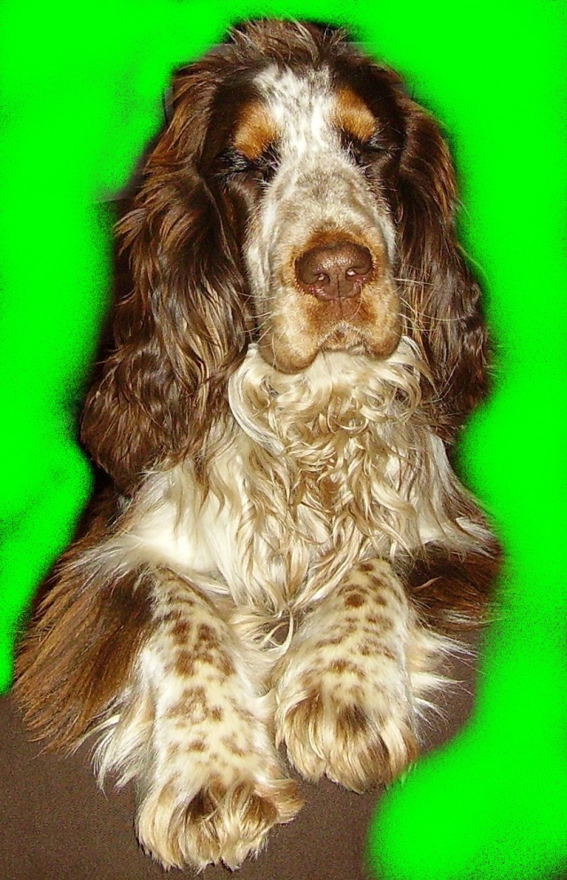 Image hébergée par Casimages.com : votre hébergeur d images simple et gratuit