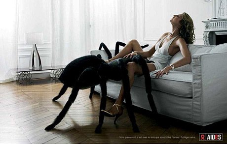 voir l'image en taille réelle