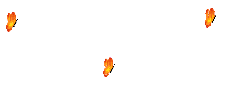 Image h�berg�e par Casimages.com : votre h�bergeur d images simple et gratuit