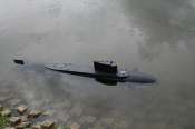 Seawolf Robbe
