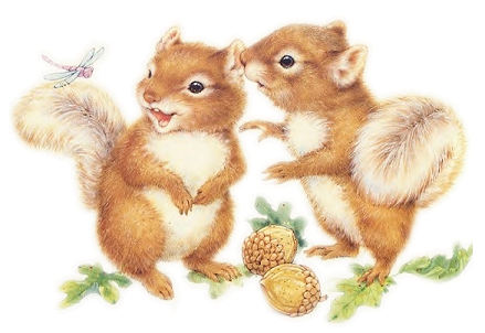 Image h�berg�e par Casimages.com : votre h�bergeur d images simple et gratuit