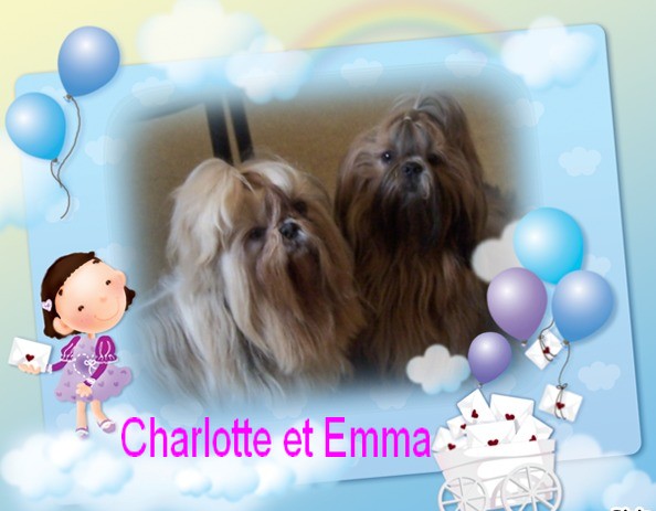 Image h�berg�e par Casimages.com : votre h�bergeur d images simple et gratuit