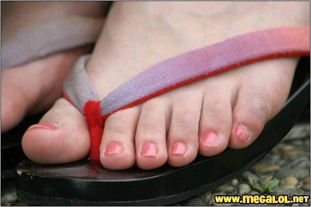 Image hébergée par Casimages.com : votre hébergeur d images simple et gratuit