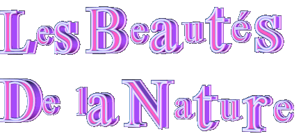 http://nsm03.casimages.com/img/2010/04/02//100402064114194945753604.gif