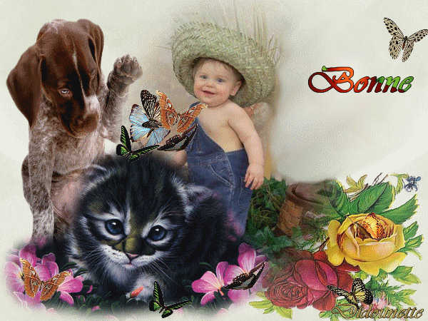 Image h&eacute;berg&eacute;e par Casimages.com : votre h&eacute;bergeur d images simple et gratuit