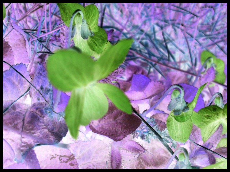 Image hébergée par Casimages.com : votre hébergeur d images simple et gratuit
