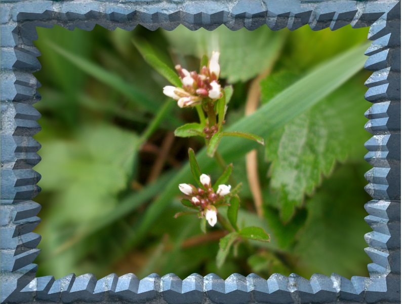 Image hébergée par Casimages.com : votre hébergeur d images simple et gratuit