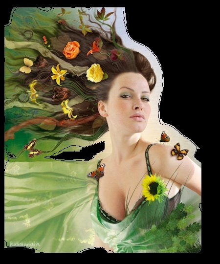 Image hébergée par Casimages.com : votre hébergeur d images simple et gratuit