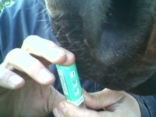 http://nsm03.casimages.com/img/2010/04/03//1004030632341007845760157.jpg