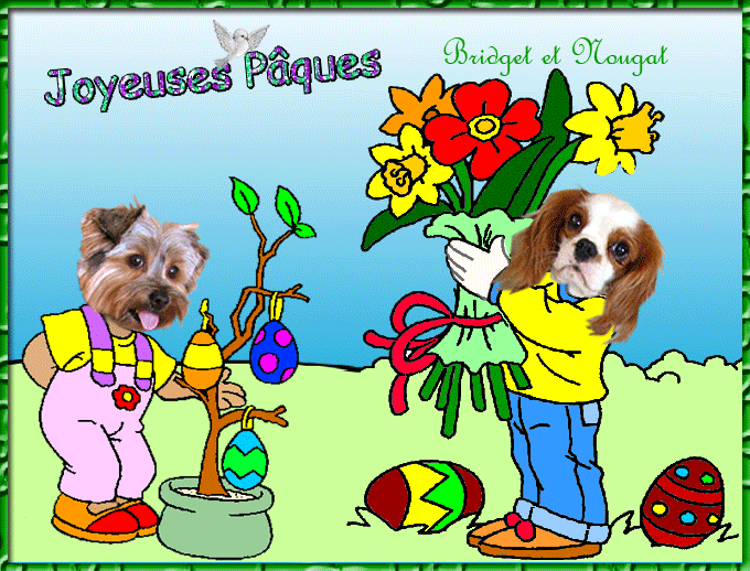 Image h�berg�e par Casimages.com : votre h�bergeur d images simple et gratuit