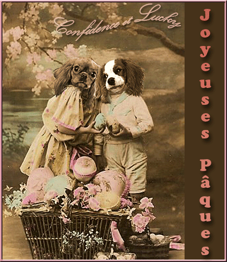 Image h�berg�e par Casimages.com : votre h�bergeur d images simple et gratuit
