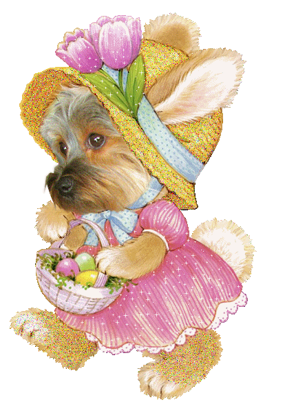 Image h�berg�e par Casimages.com : votre h�bergeur d images simple et gratuit