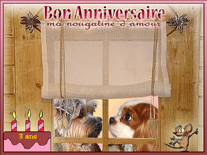 Image h�berg�e par Casimages.com : votre h�bergeur d images simple et gratuit