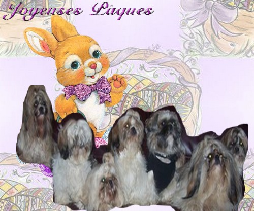 Image h�berg�e par Casimages.com : votre h�bergeur d images simple et gratuit