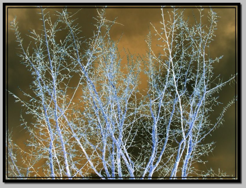 Image hébergée par Casimages.com : votre hébergeur d images simple et gratuit