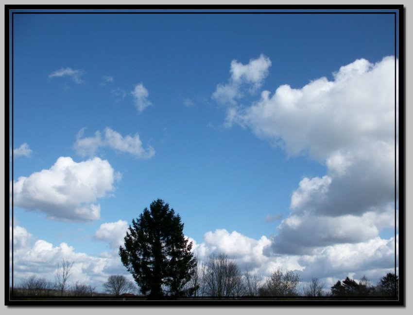 Image hébergée par Casimages.com : votre hébergeur d images simple et gratuit
