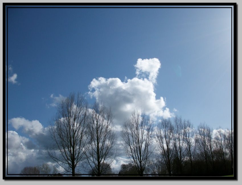 Image hébergée par Casimages.com : votre hébergeur d images simple et gratuit