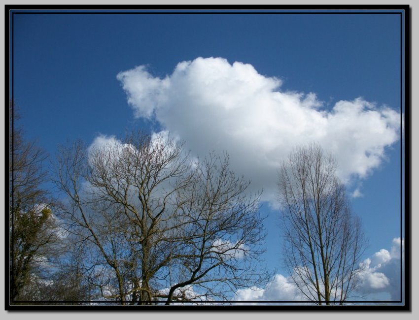 Image hébergée par Casimages.com : votre hébergeur d images simple et gratuit