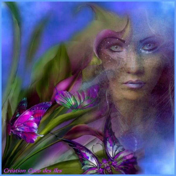 Image hébergée par Casimages.com : votre hébergeur d images simple et gratuit