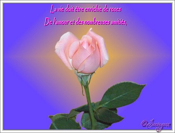 Image hébergée par Casimages.com : votre hébergeur d images simple et gratuit