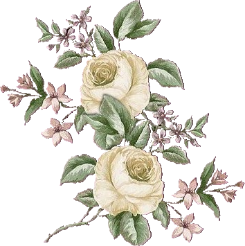 Image h�berg�e par Casimages.com : votre h�bergeur d images simple et gratuit