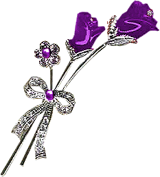 Image h�berg�e par Casimages.com : votre h�bergeur d images simple et gratuit