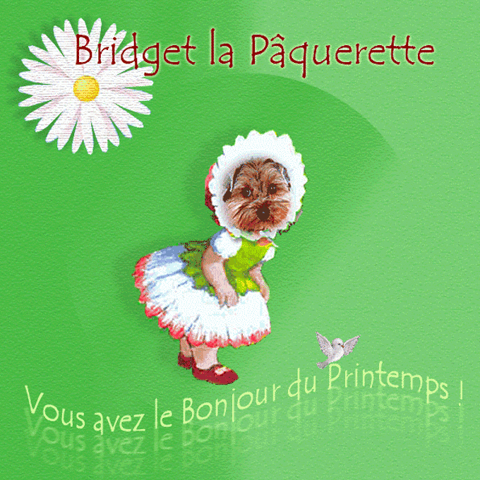 Image h�berg�e par Casimages.com : votre h�bergeur d images simple et gratuit