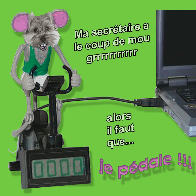 Image h�berg�e par Casimages.com : votre h�bergeur d images simple et gratuit
