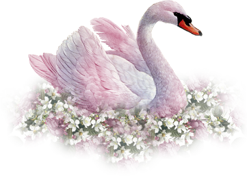 Image h�berg�e par Casimages.com : votre h�bergeur d images simple et gratuit