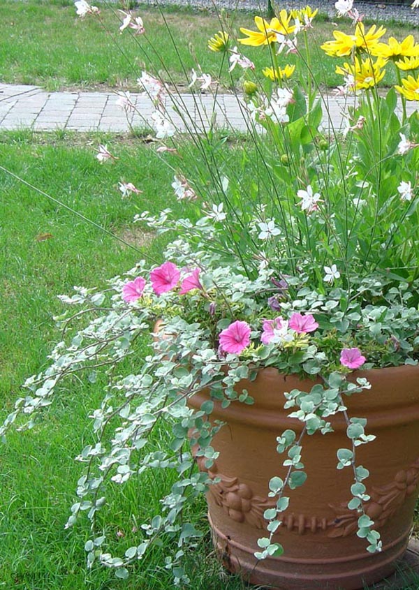 Image hébergée par Casimages.com : votre hébergeur d images simple et gratuit