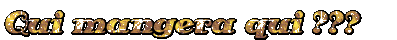 Image h�berg�e par Casimages.com : votre h�bergeur d images simple et gratuit