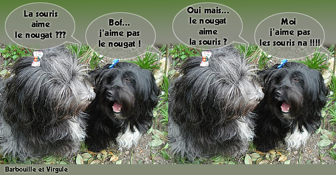 Image h�berg�e par Casimages.com : votre h�bergeur d images simple et gratuit
