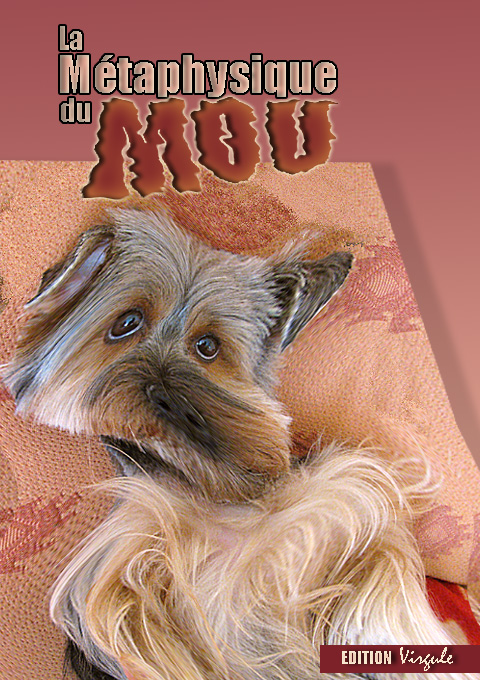 Image h�berg�e par Casimages.com : votre h�bergeur d images simple et gratuit