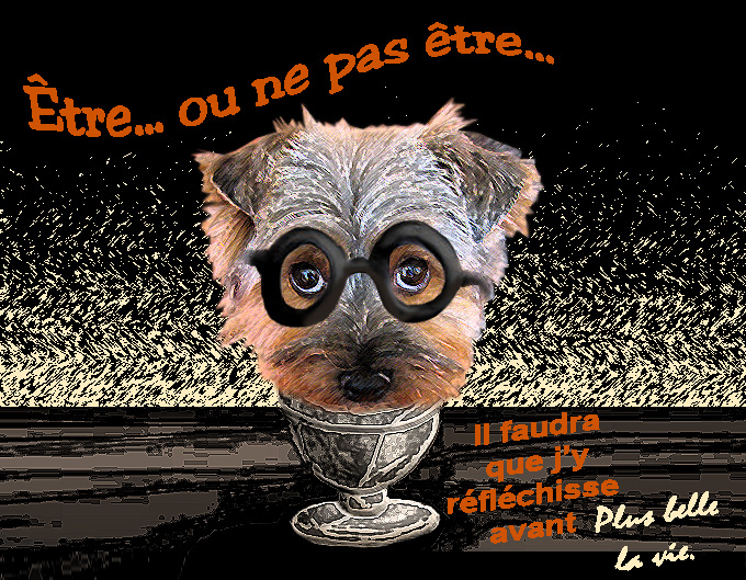 Image h�berg�e par Casimages.com : votre h�bergeur d images simple et gratuit
