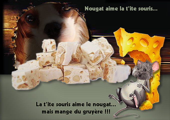 Image h�berg�e par Casimages.com : votre h�bergeur d images simple et gratuit