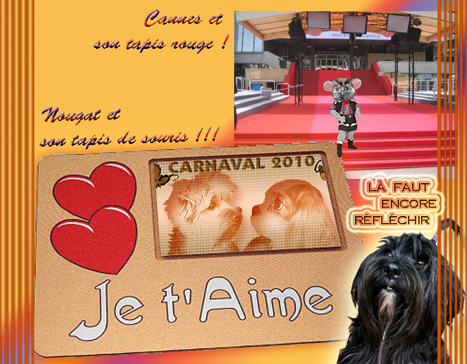 Image h�berg�e par Casimages.com : votre h�bergeur d images simple et gratuit