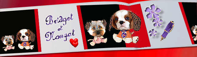Image h�berg�e par Casimages.com : votre h�bergeur d images simple et gratuit