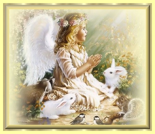 Image h�berg�e par Casimages.com : votre h�bergeur d images simple et gratuit