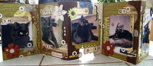 Image hébergée par Casimages.com : votre hébergeur d images simple et gratuit