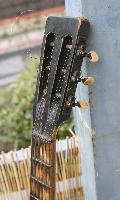 IMG_5046