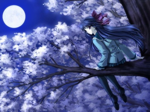 Afficher l'image d'origine